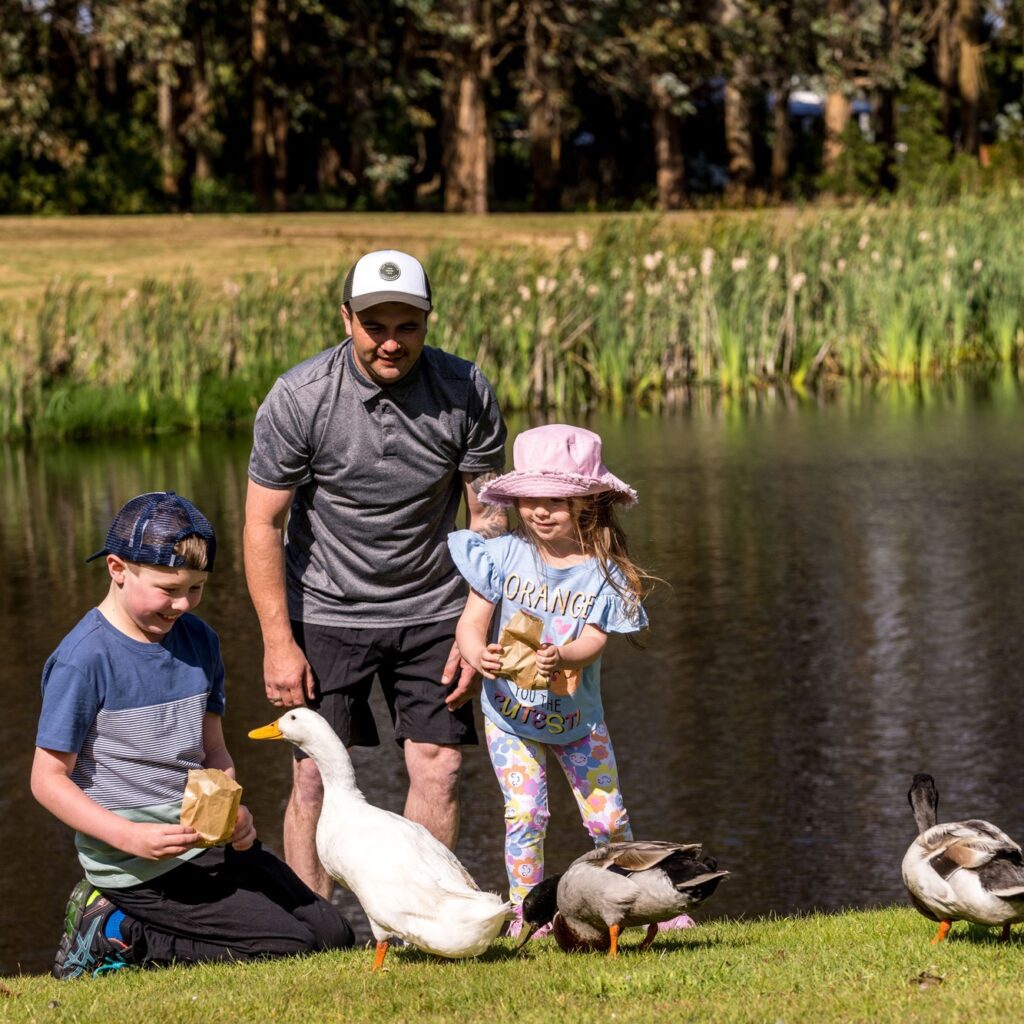 A young son and daughter feed the ducks with their father