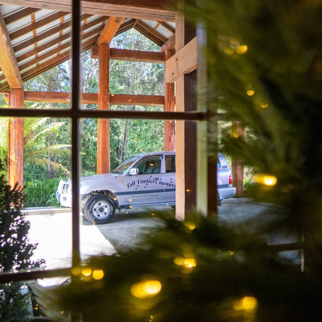 Adventure Tour vehicle visible through window with lit Christmas tree in foreground inside