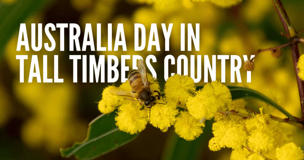 Photograph of yellow wattle plant with bee with overlayed text of 'Australia Day in Tall Timbers Country'