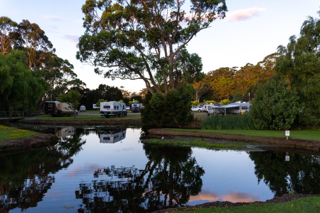 View of RVs amid the trees across the stream