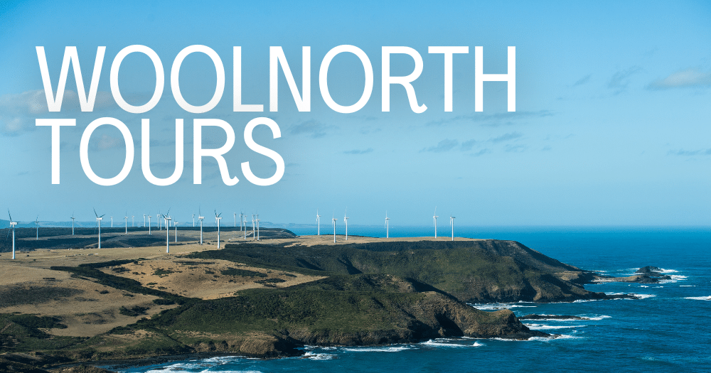 View across land to Woolnorth wind turbines