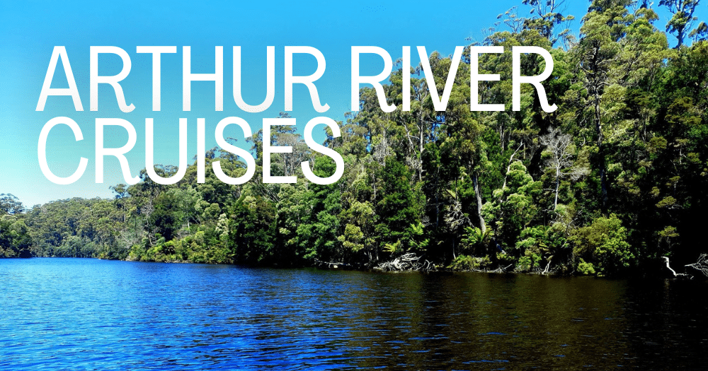 View of the Arthur River water lined with trees