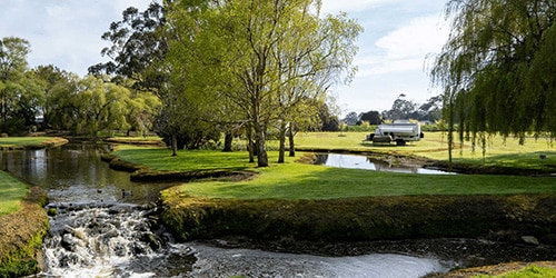 Tall Timbers Tasmania